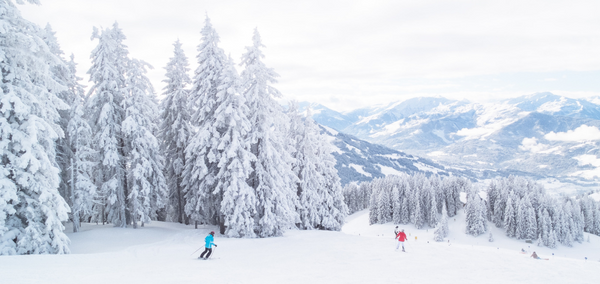 Snowboarding and Skiing, What's the Difference?