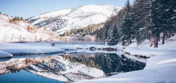 Bundle Up and Have Fun: Enjoying Winter Fun Despite the Cold!